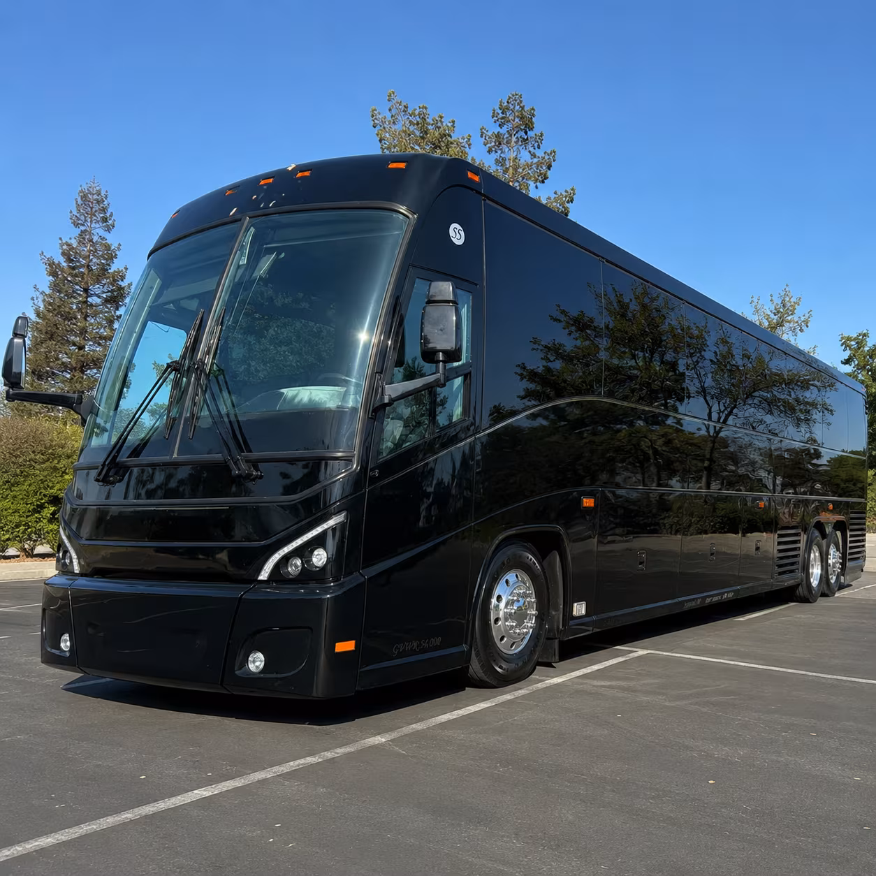 matlacha and pine island wine and art tour buses