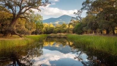 bonita nature place