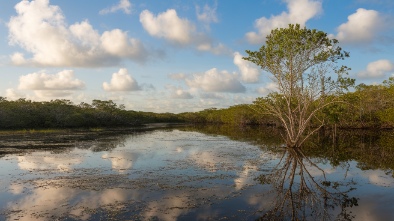 everglades national park