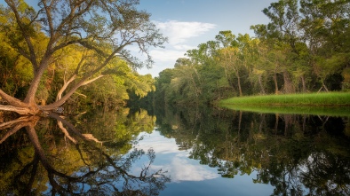 myakka river state park