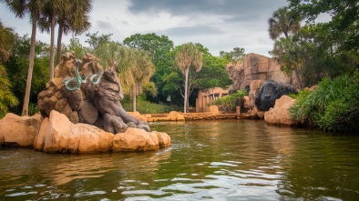 sarasota jungle gardens